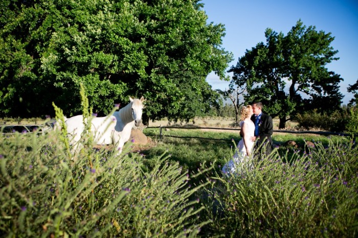 Tulbagh Wedding: Welbedacht Nature Reserve {Beverley & Dieter}